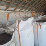 насіння гречки 2026 б:б.jpg