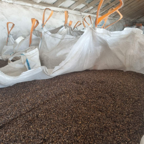 Насіння гречки ГРЕНБІ